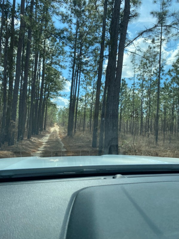 Citrus - Trail 5 Trail Review Photo