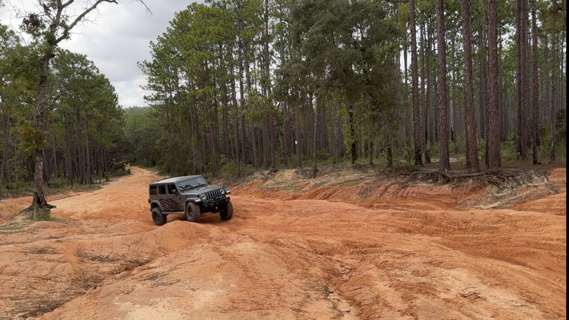 Trail Review: Citrus - Trail 14 - Ron Frick