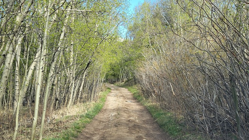 Buckskin Joe Trail Review Photo