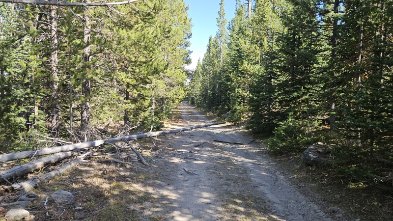 Flatiron Mountain Trail Review Photo