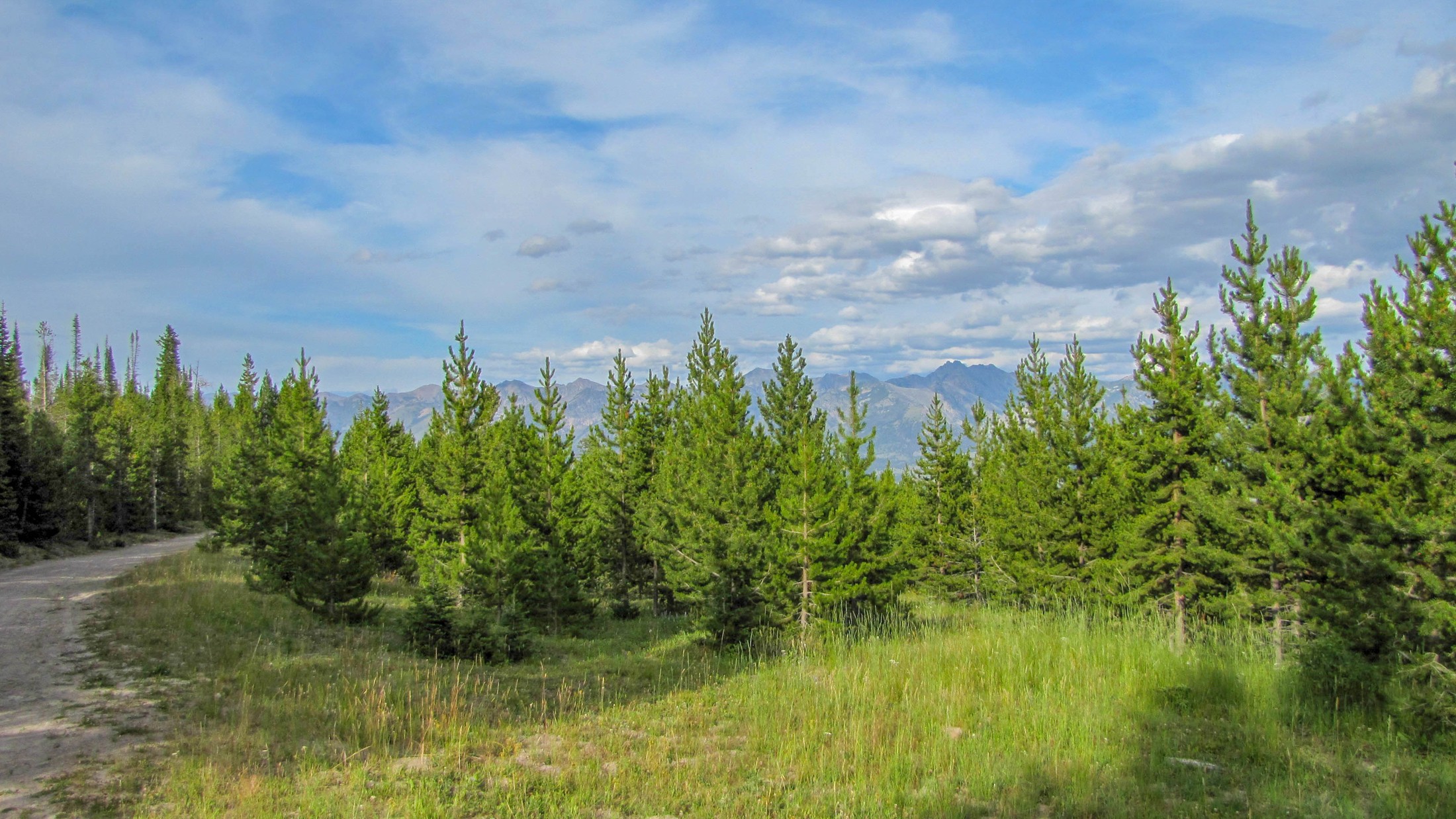 Soap Creek, Montana Offroad Trail Guide & Map