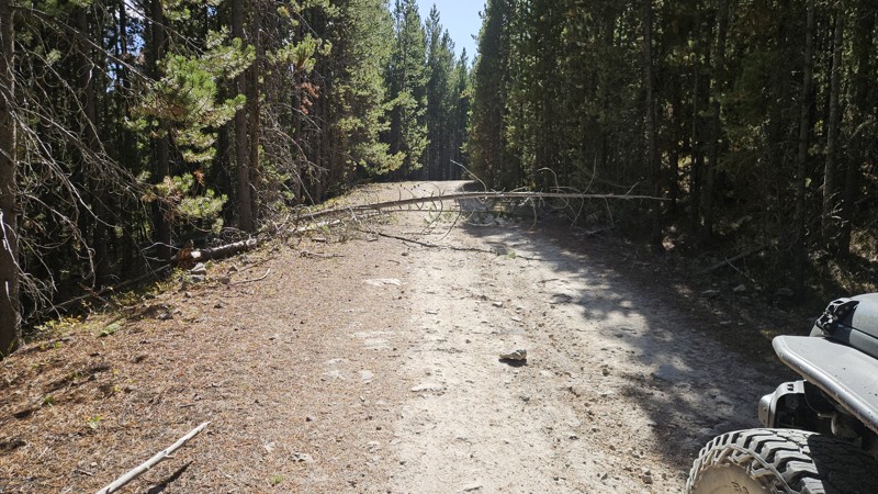 Soap Creek Trail Review Photo