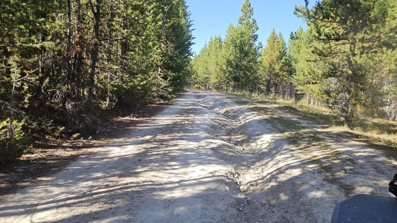 Soap Creek Trail Review Photo