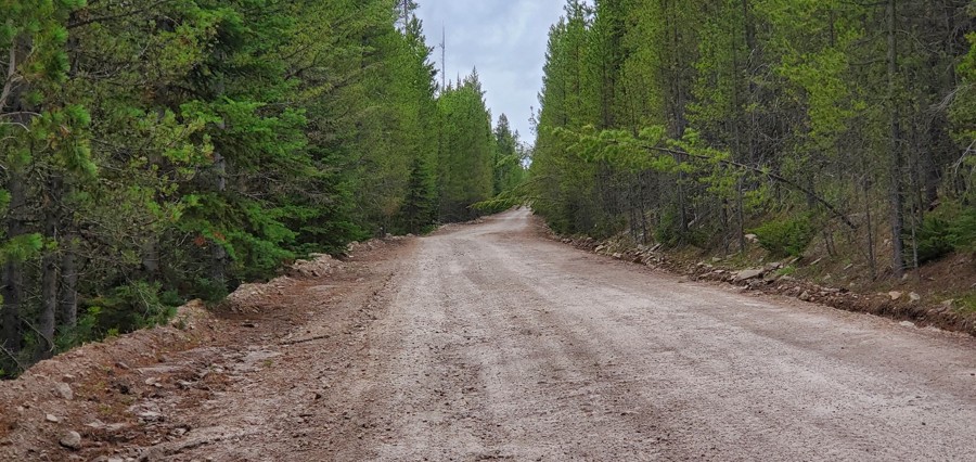 Trail Review: Jackpine Gulch - Cory Wooldridge