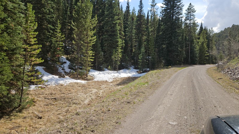 Jackpine Gulch Trail Review Photo