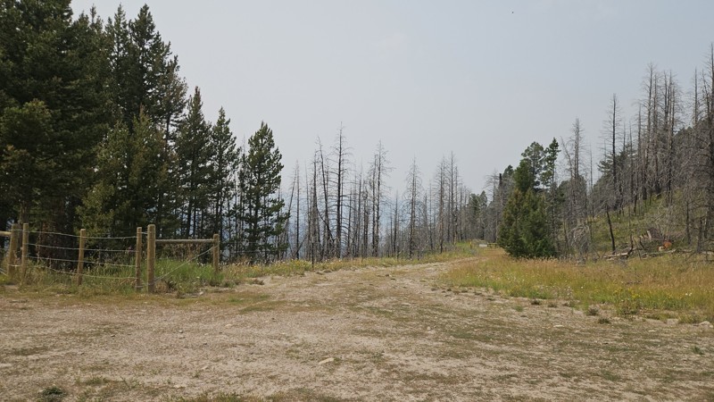Jackpine Gulch Trail Review Photo