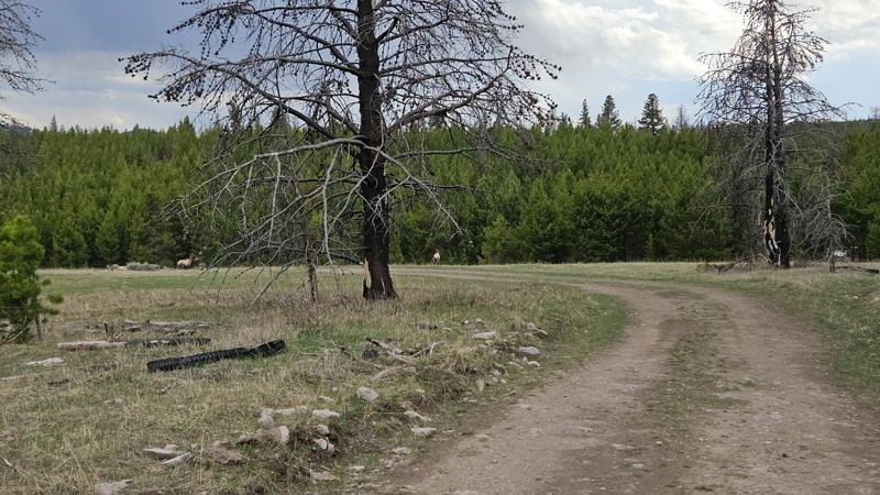 East Bench Trail Review Photo