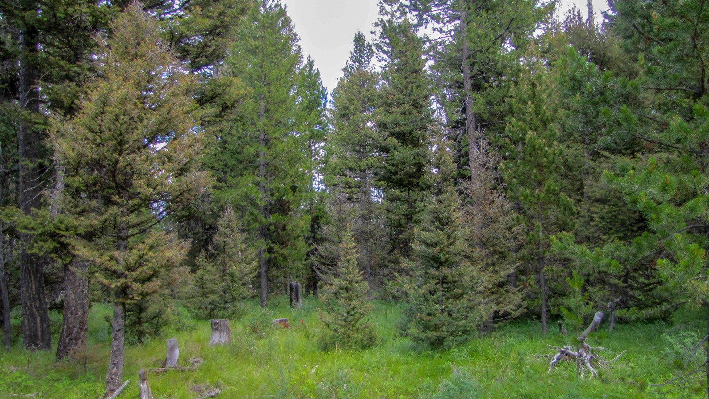 Highlight: https://images-prod.trailsoffroad.com/trails/3659/highlights/1566425627454_resized_IMG_4412-285-113.jpg