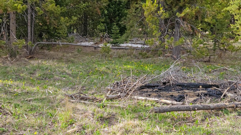 Jackknife Trail Review Photo