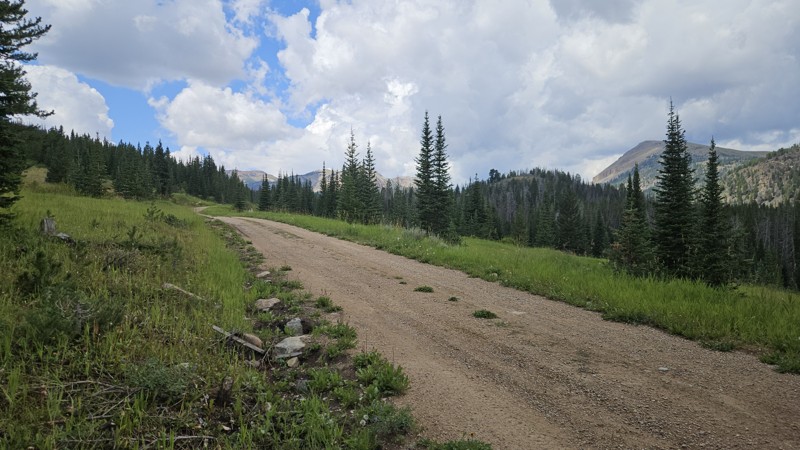 Standard Creek Trail Review Photo