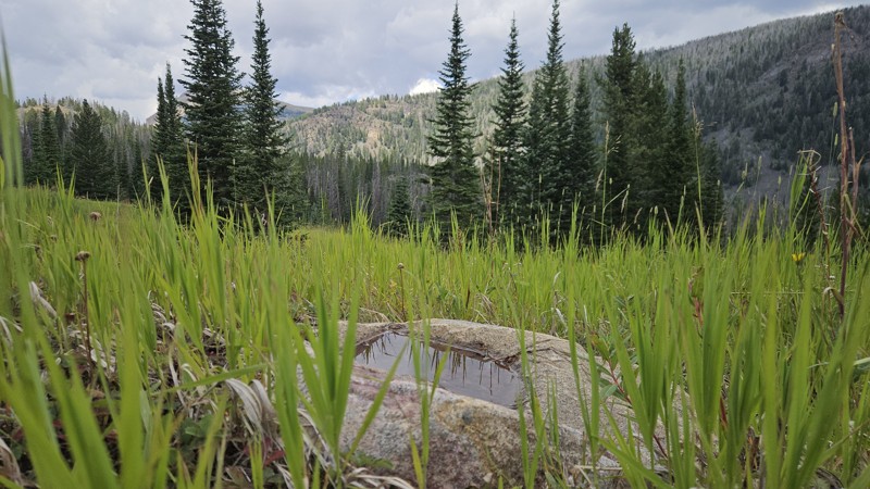 Standard Creek Trail Review Photo