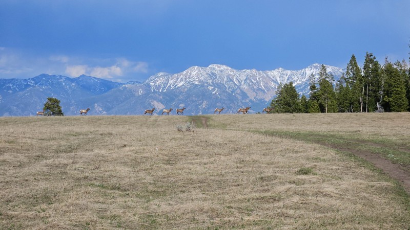 Cliff Lake Bench Trail Review Photo
