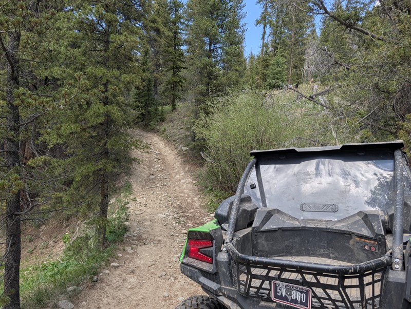 McAllister Gulch Trail Review Photo