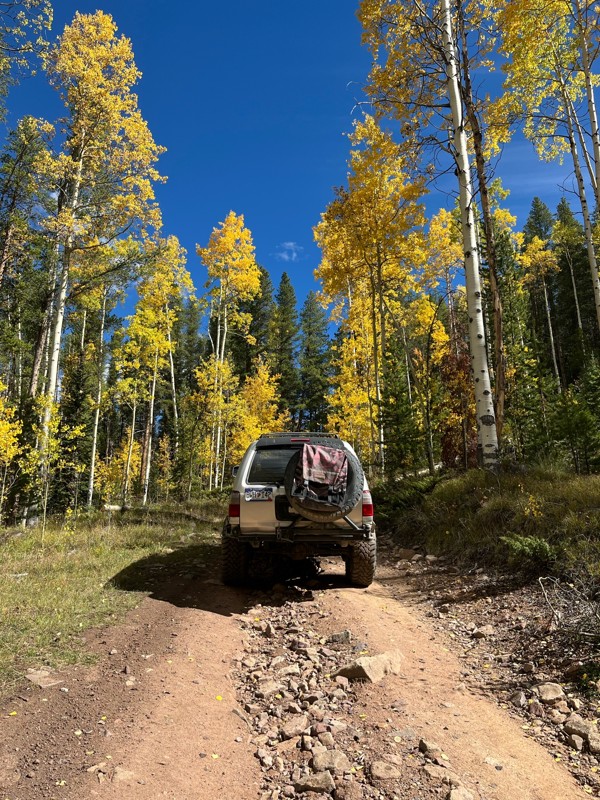 McAllister Gulch Trail Review Photo