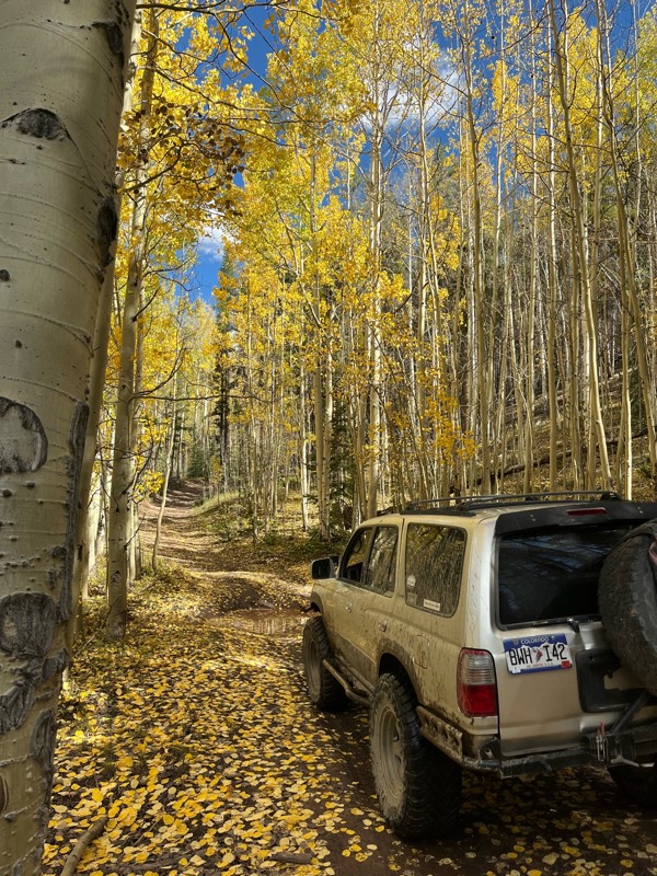 McAllister Gulch Trail Review Photo