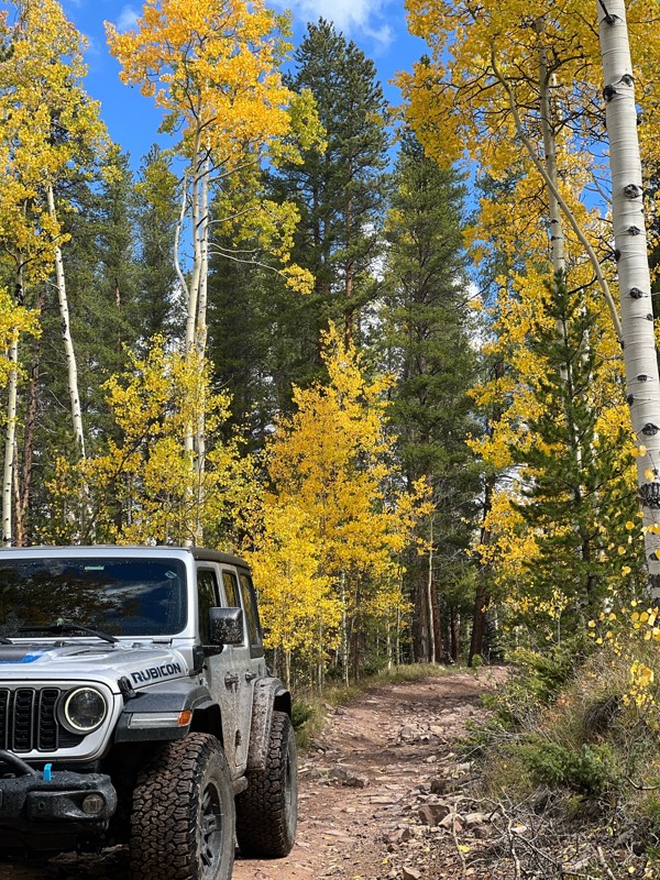 McAllister Gulch Trail Review Photo