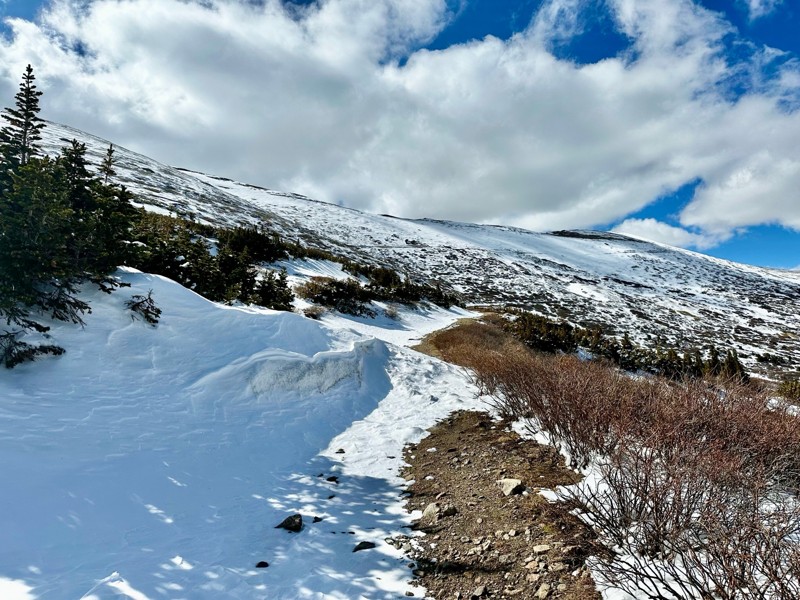 Leavenworth Creek Road (AKA McClellan Mountain) Trail Review Photo