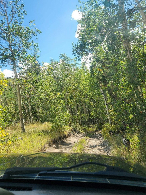 Medano Pass Trail Review Photo