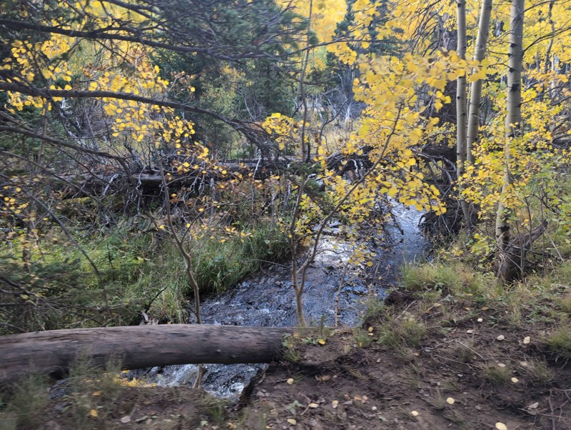 Medano Pass Trail Review Photo
