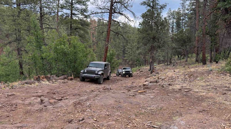 Clover Springs Trail Review Photo