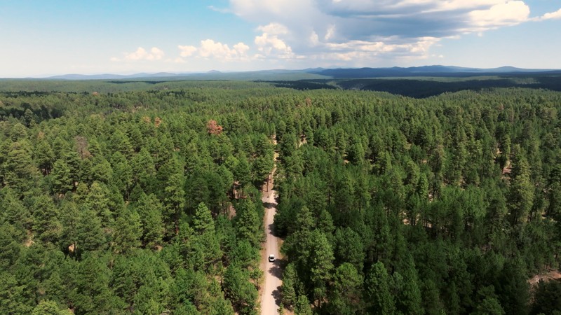 Clover Springs Trail Review Photo