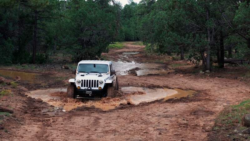 Clover Springs Trail Review Photo