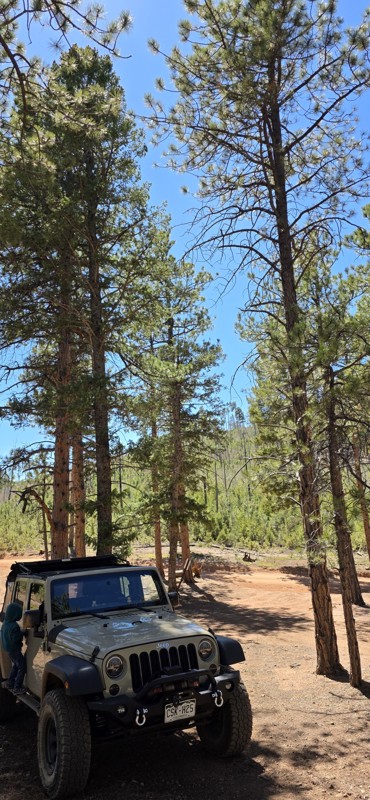 Metberry Gulch Trail Review Photo