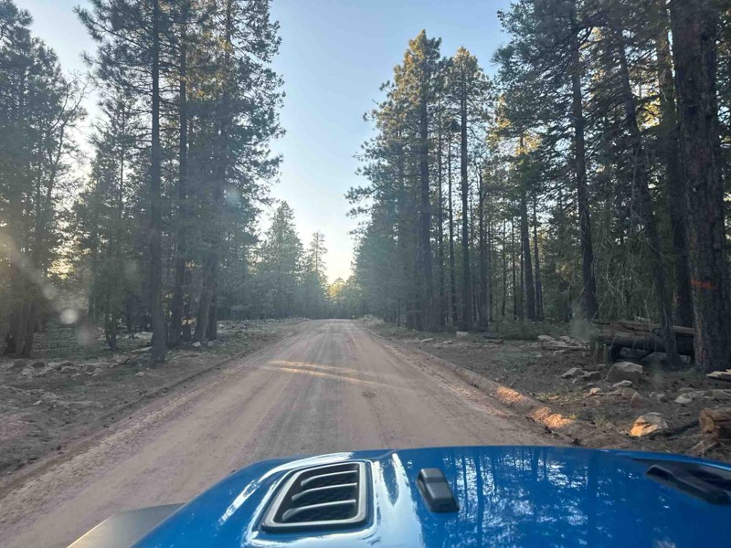 Rim Road Trail Review Photo