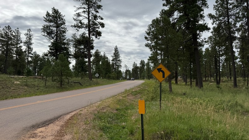 Rim Road Trail Review Photo
