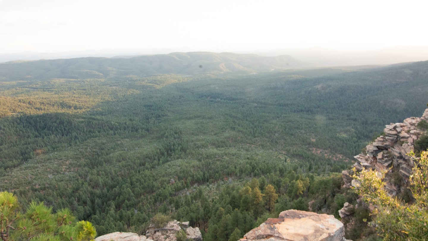 Rim Wood Road - Best Trails