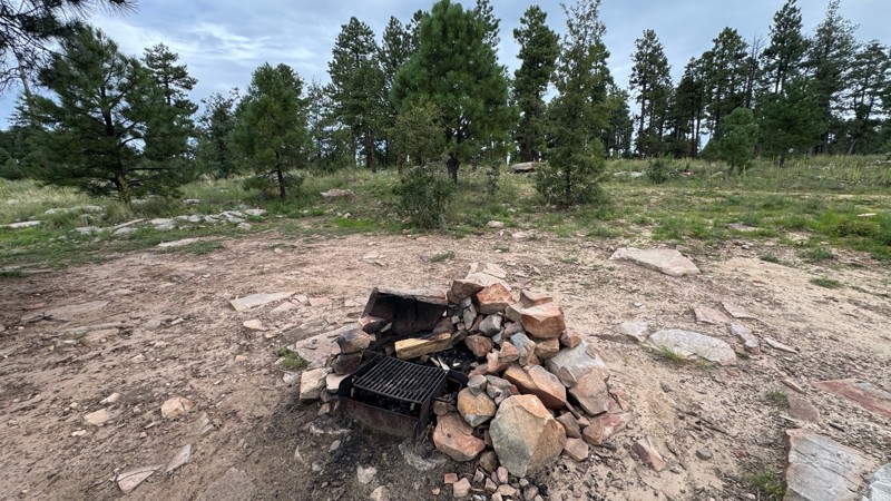 Rim Wood Road Trail Review Photo
