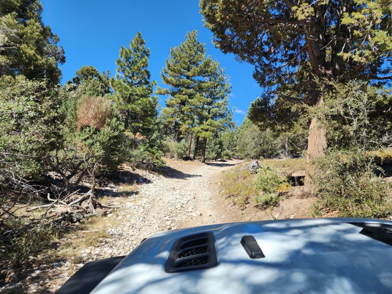 3N83 - Upper Holcomb Trail Review Photo