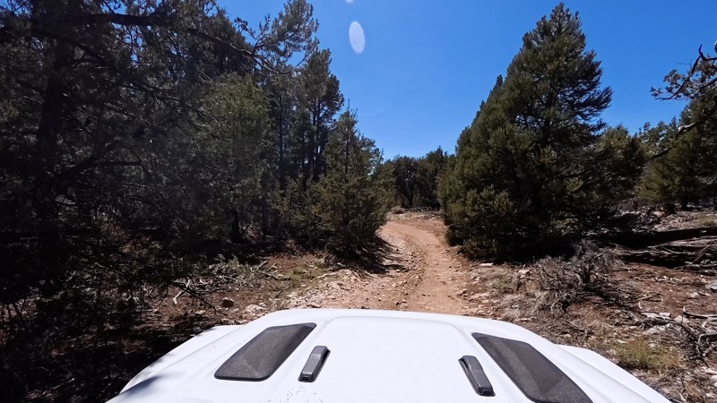 3N83 - Upper Holcomb Trail Review Photo