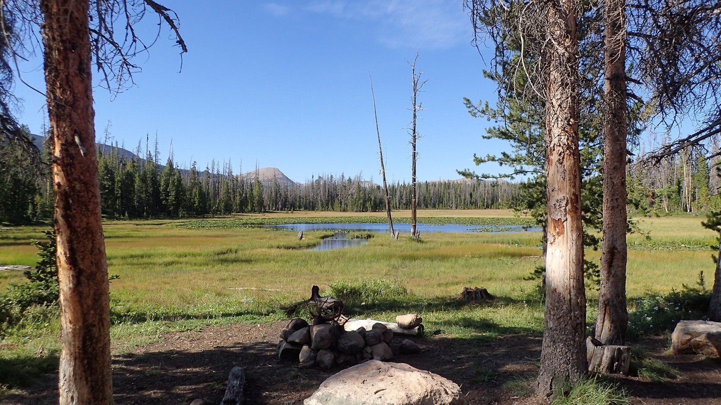 Spring Canyon/Trial Lake - Best Trails