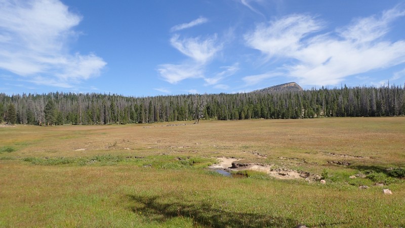 Utah: Lambert Meadows Hero Photo