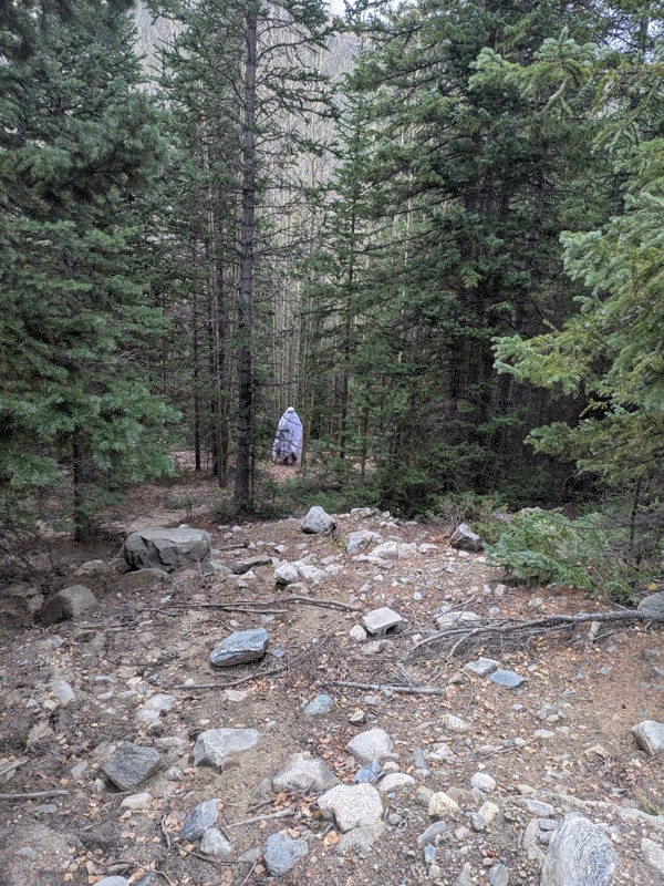 Stevens Gulch Road Trail Review Photo