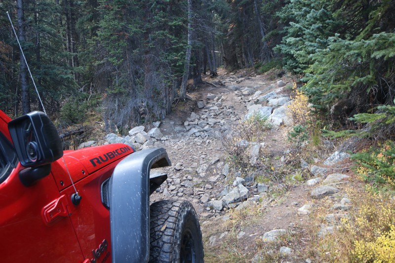 Grizzly Gulch Road Trail Review Photo