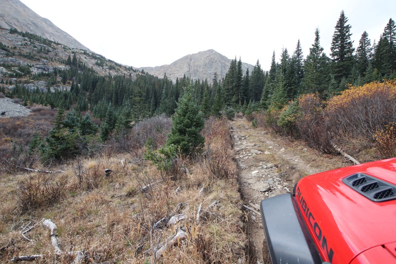 Grizzly Gulch Road Trail Review Photo