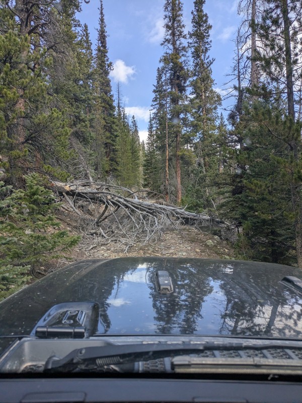 Grizzly Gulch Road Trail Review Photo
