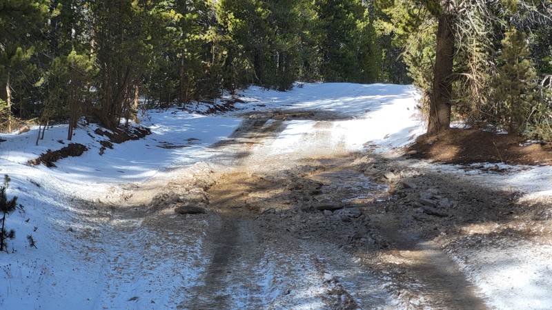 Centennial Ridge  Trail Review Photo