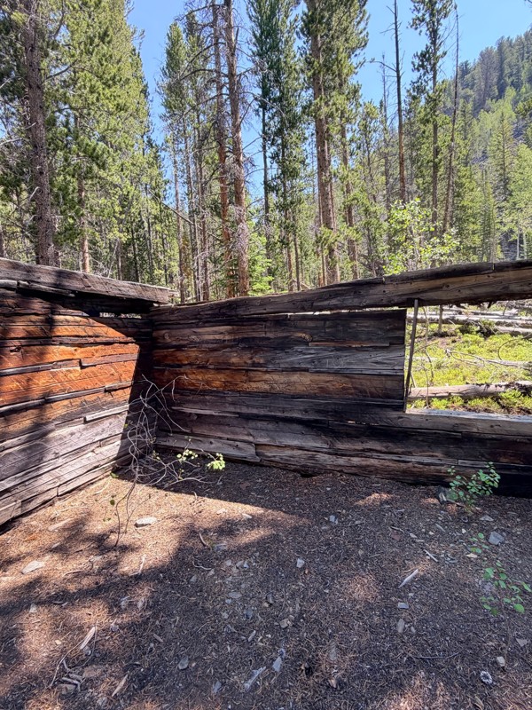 Middle Fork Canyon  Trail Review Photo