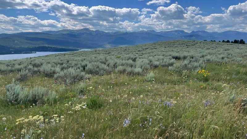 Horse Butte Lookout Trail Review Photo