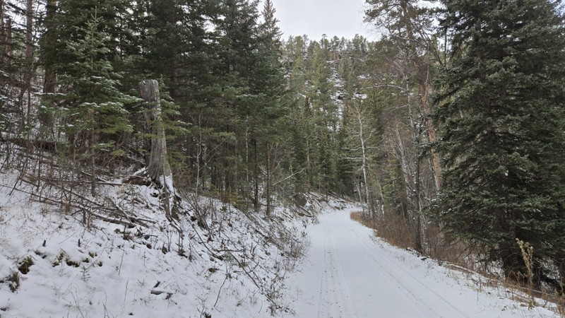 China Gulch Road Trail Review Photo