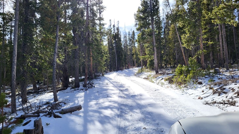 Ehlin Road Trail Review Photo