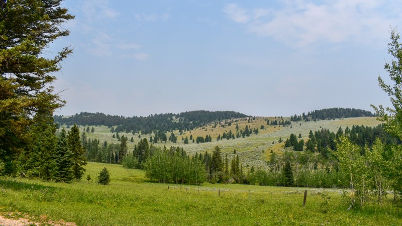 Johnny Ridge Trail Review Photo