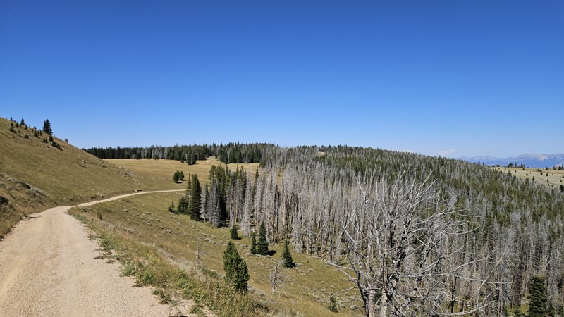 Johnny Ridge Trail Review Photo