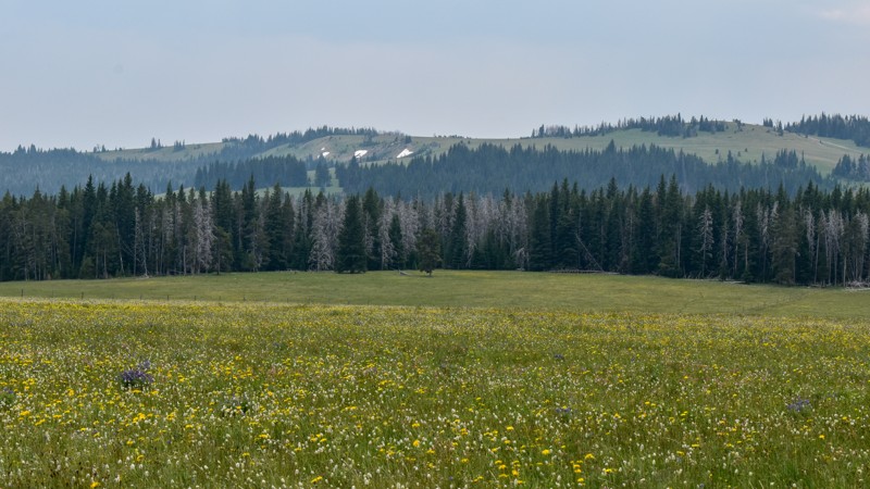 Call Road Trail Review Photo
