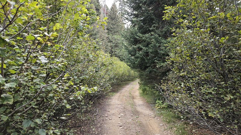 Contour Road Trail Review Photo