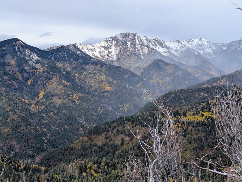 Junction Creek Trail Review Photo
