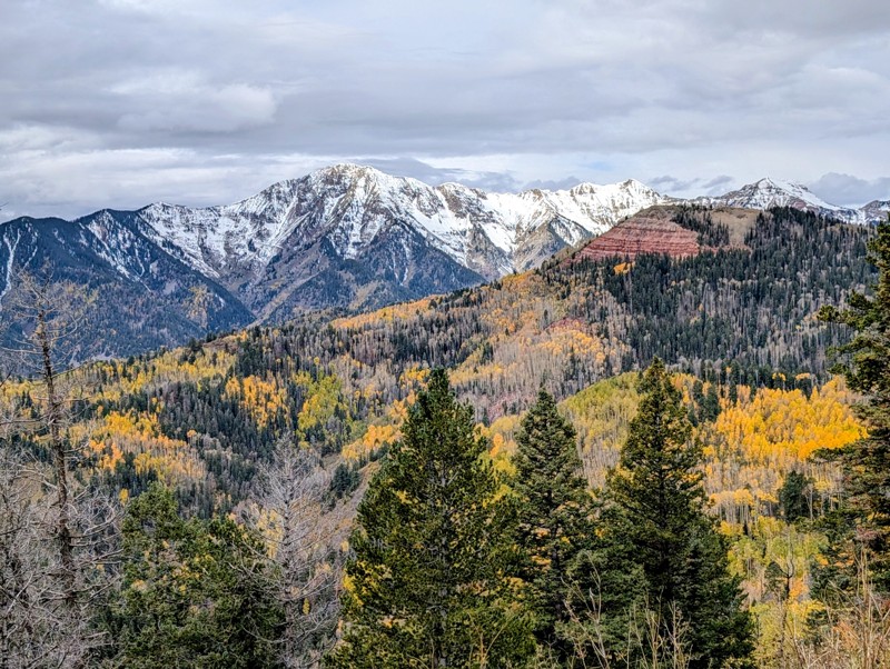 Junction Creek Trail Review Photo